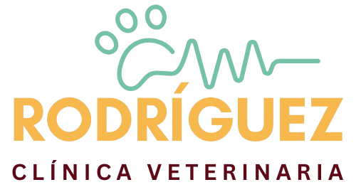 logo rodriguez