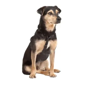 Pipeta - Mascota mediana - Hasta 20 kilos